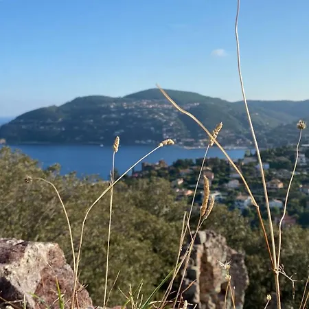 Infinity - Les Cles De L'esterel تيول سور مير